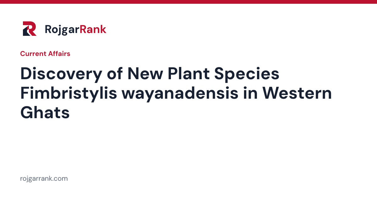 Discovery of New Plant Species Fimbristylis wayanadensis in Western Ghats — title card