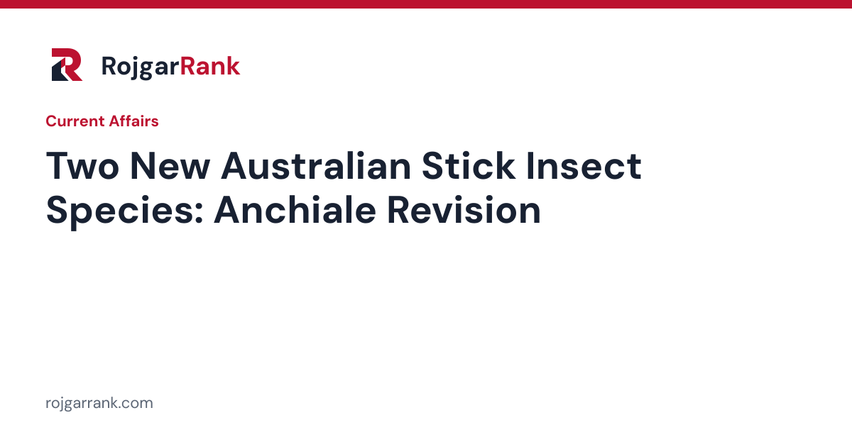 Two New Australian Stick Insect Species Described After Anchiale Genus Revision — title card
